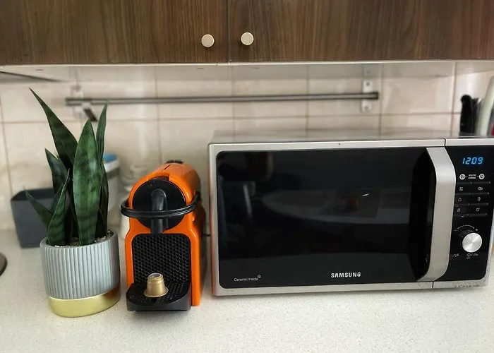 Le Petit Paris- , Dorobanti With A View