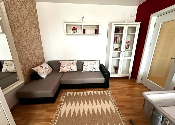 Le Petit Paris- , Dorobanti With A View