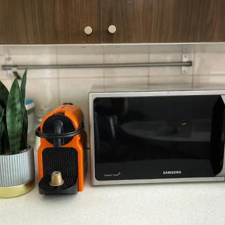 Le Petit Paris- , Dorobanti With A View