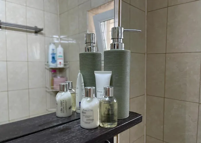 Le Petit Paris- , Dorobanti With A View Апартаменти Бухарест